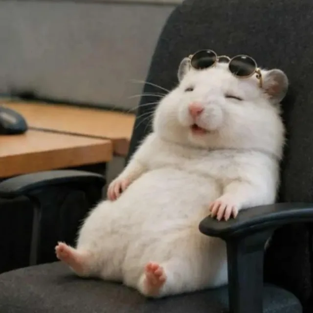 mimikim