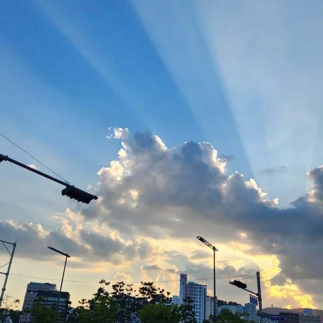 몽글이