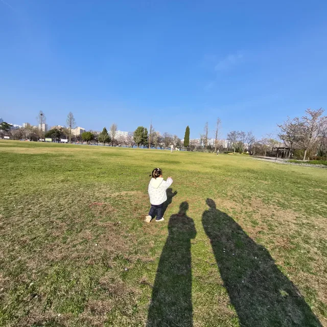 하나둘셋브이