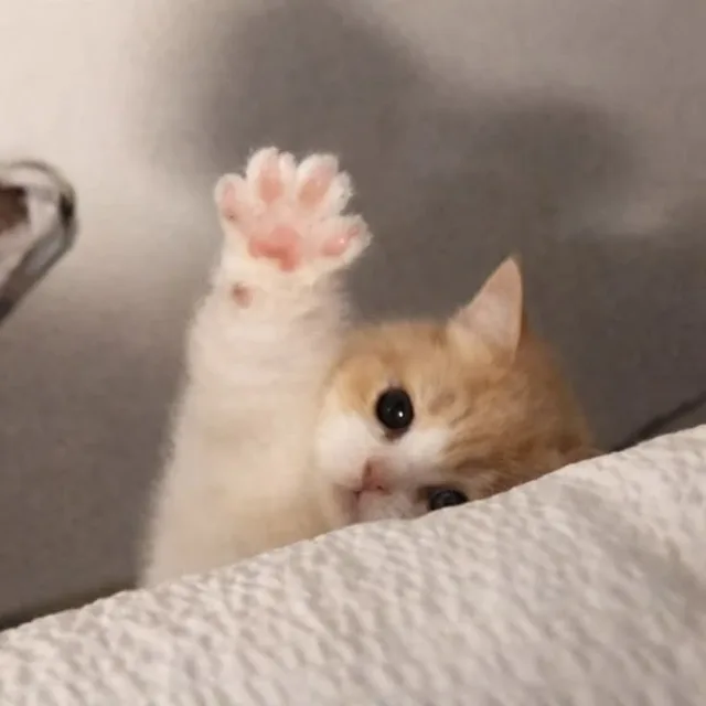 생선