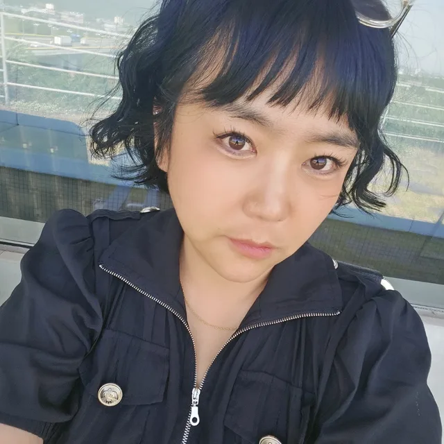 나비의비행