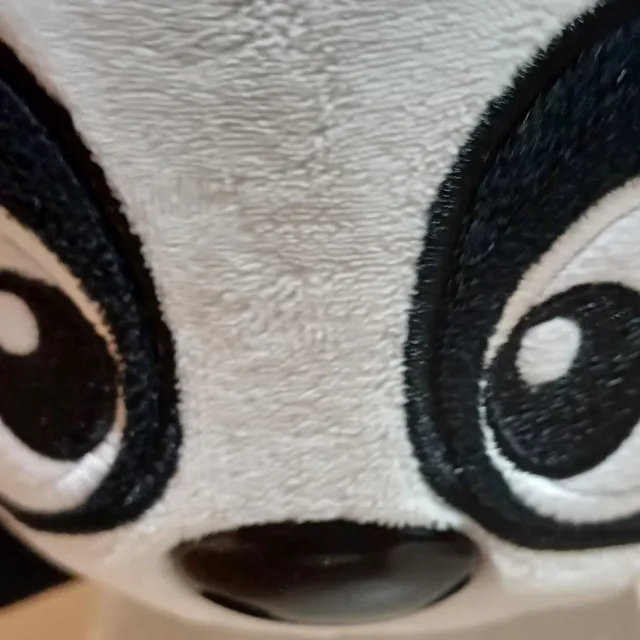판다녀석