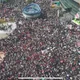 등산로청소
