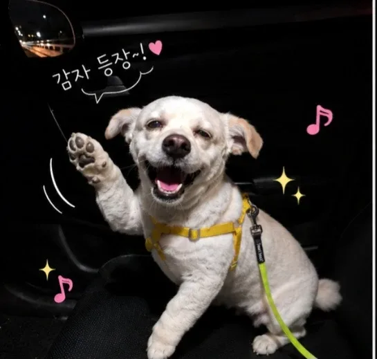 건윤아맘