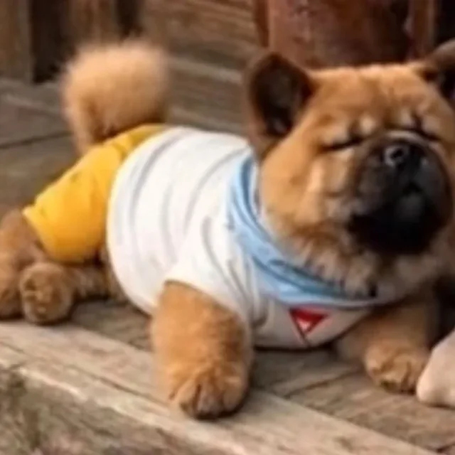 짜장이