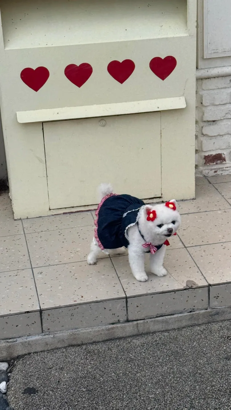 투비