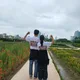 이종일