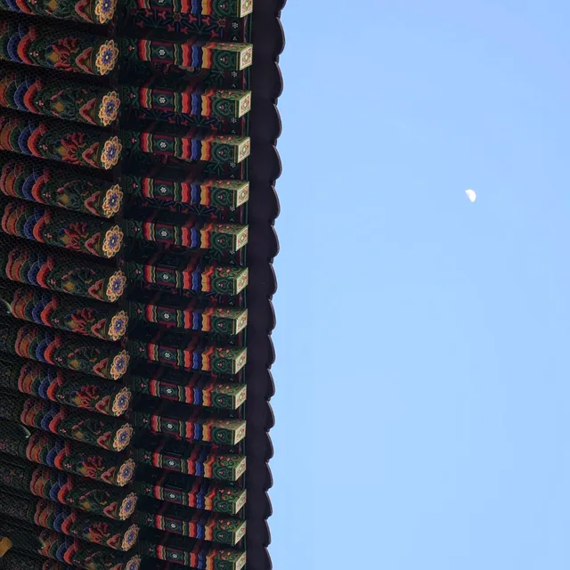 오호호호호