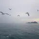 구미황상동