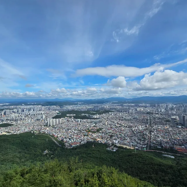 콩럽