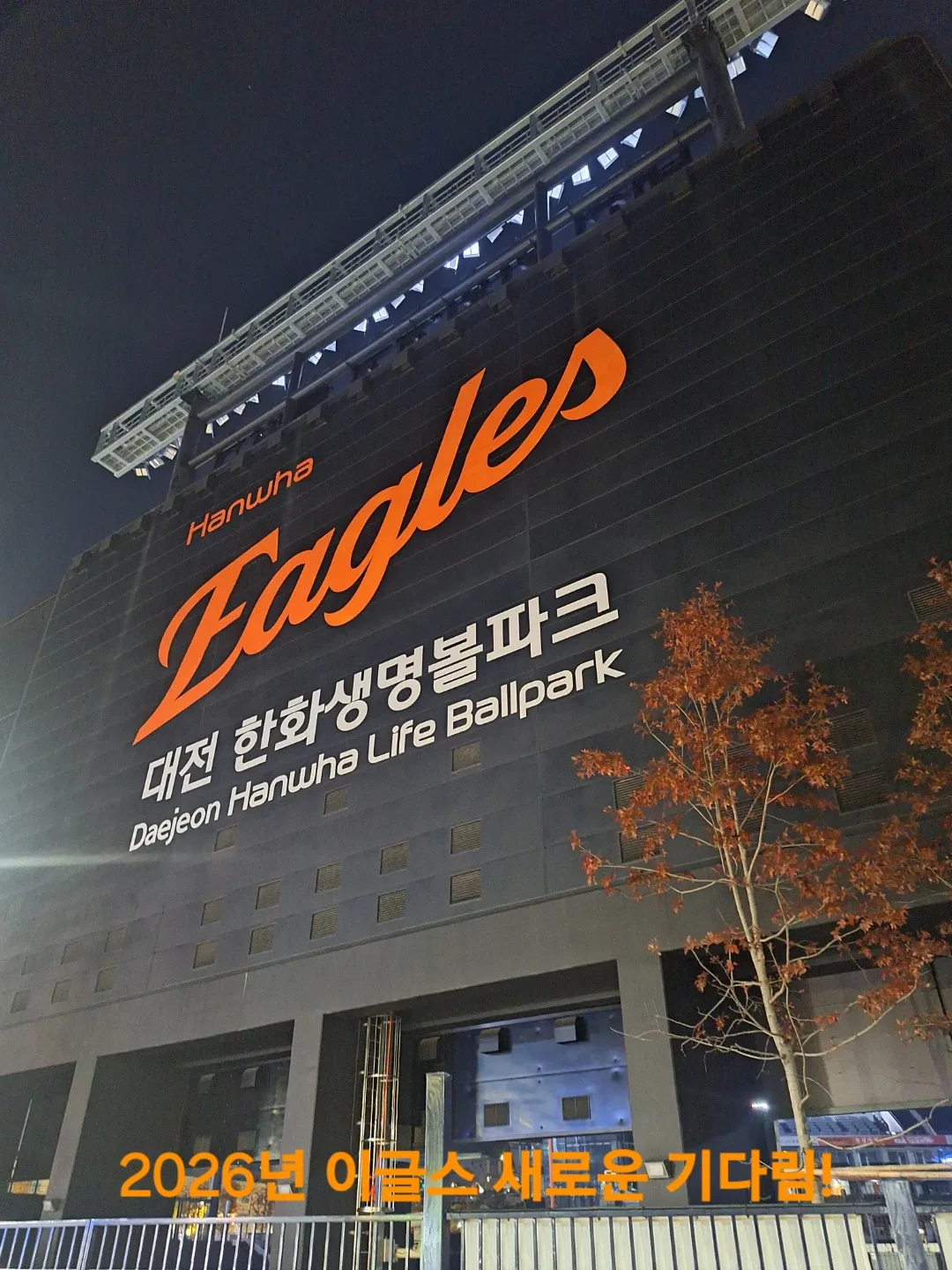 배곧이글스
