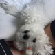 뚱스뚱스