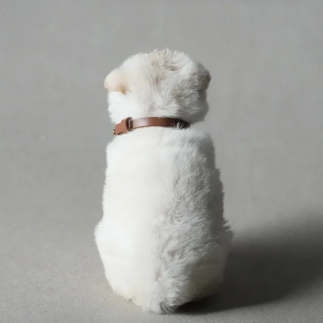 톨지