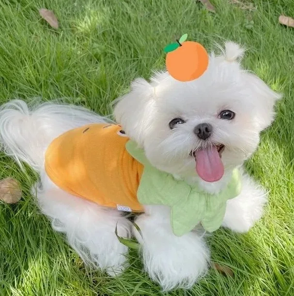 부엉부엉부엉이