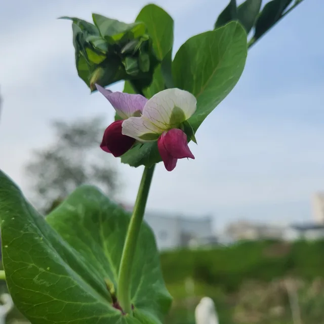 힐링