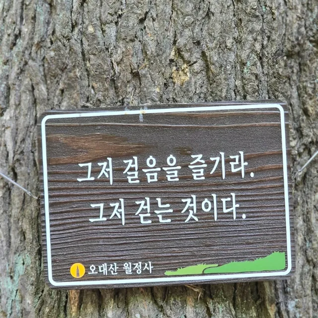 바람향기