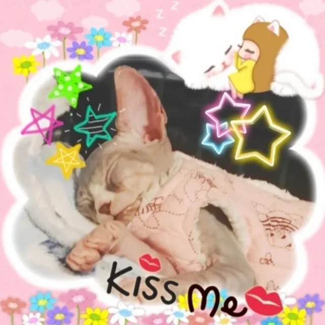 단비