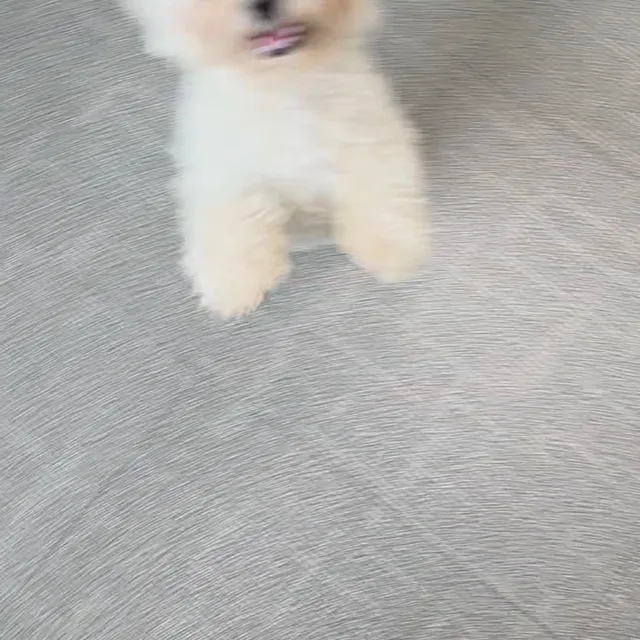 1호선