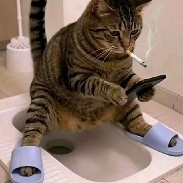 뚱땅뚱땅