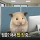 문동글