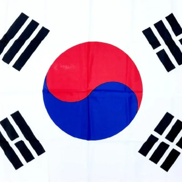 꽃잎e