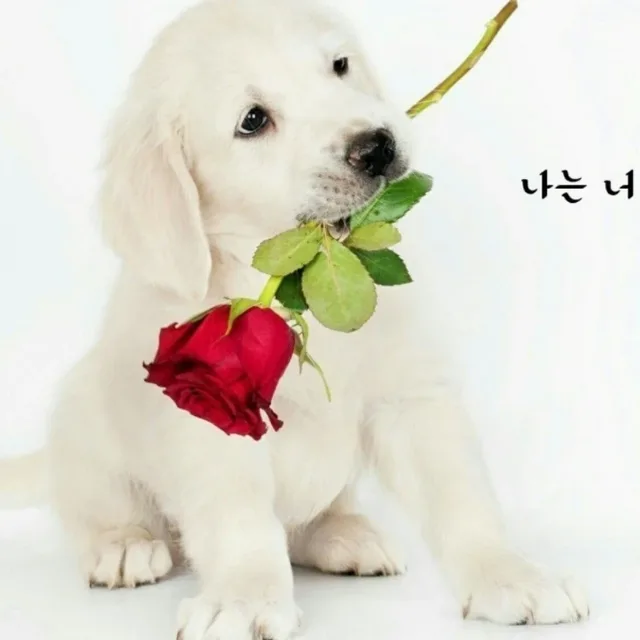 와인의기쁨