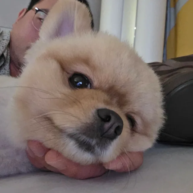 달준탱