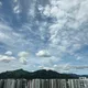 슈가맘