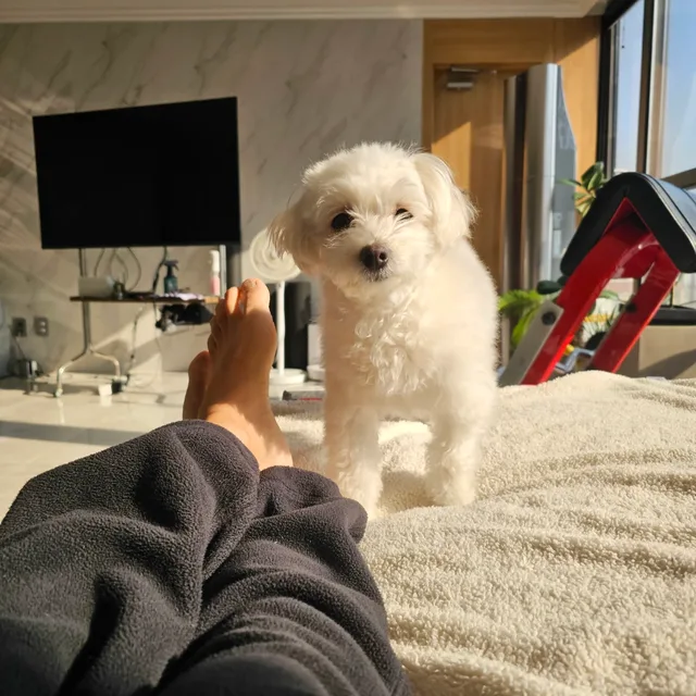 제니제니