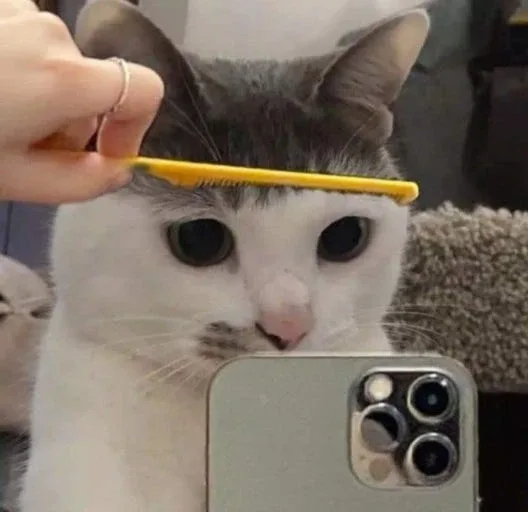 썸머