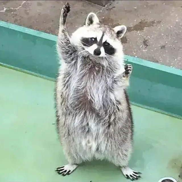 와르르