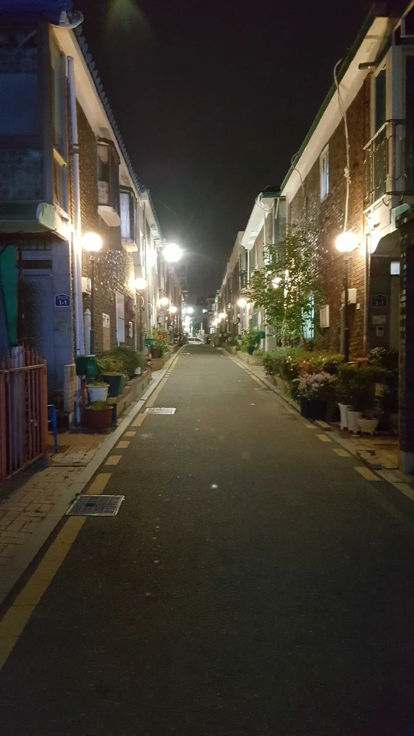 당근홀릭