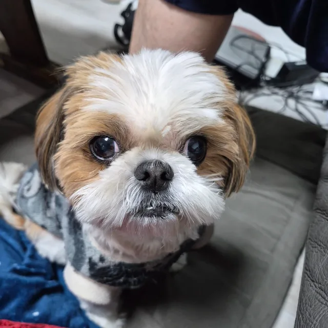 유리공주11
