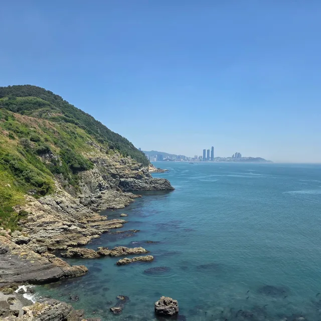 백연