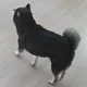 무너