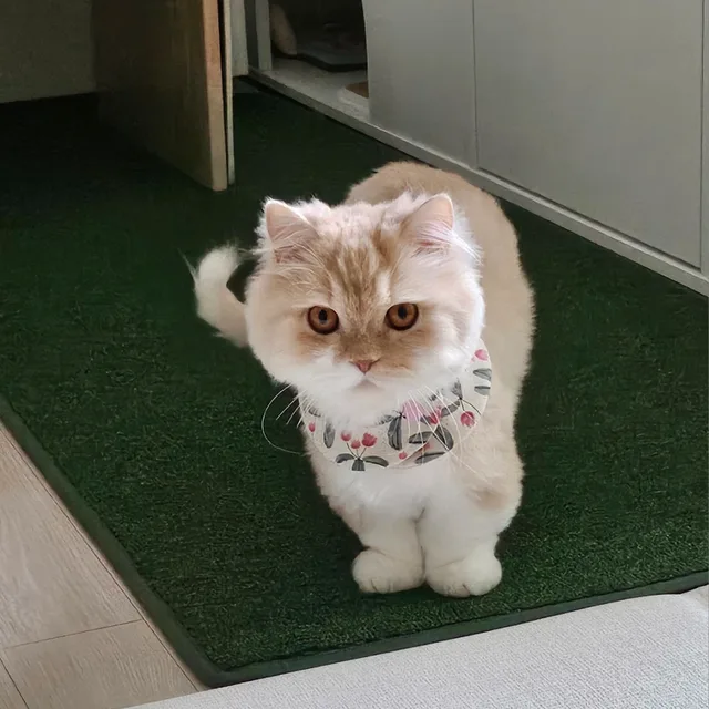 잇힝