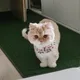 잇힝