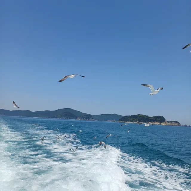 마리