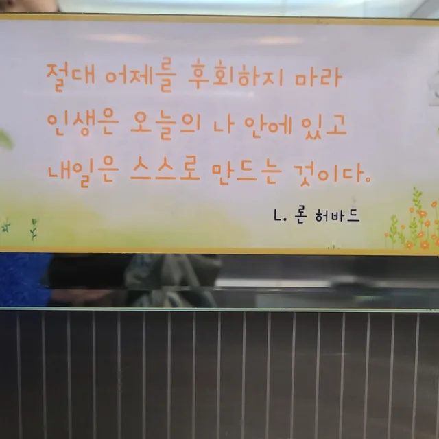 나무늘보