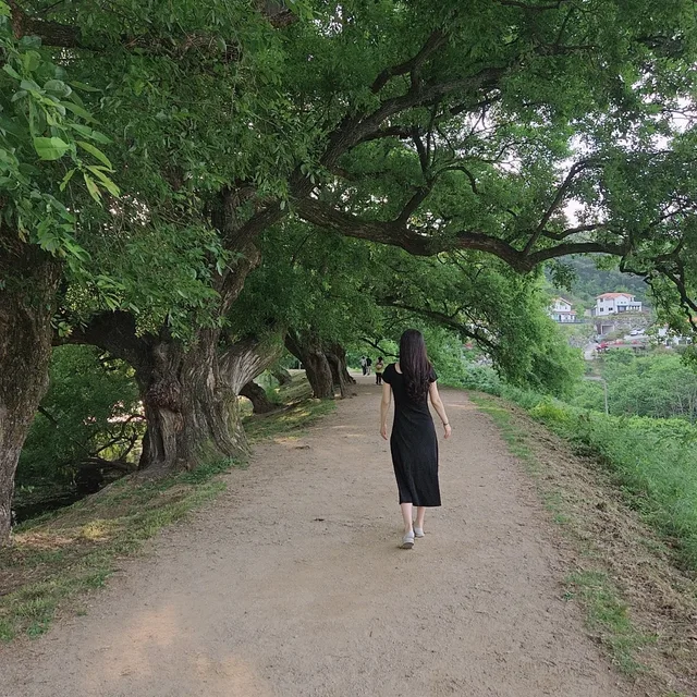 달콩
