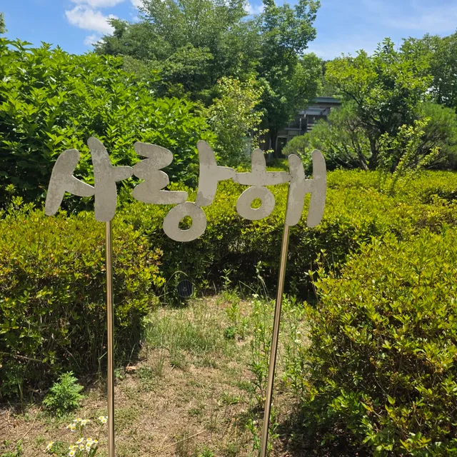 민들레