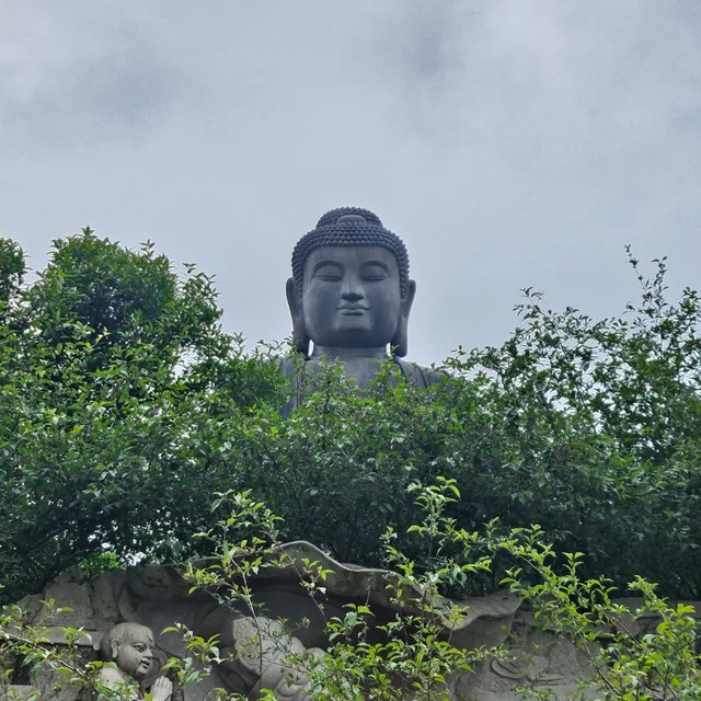 이로