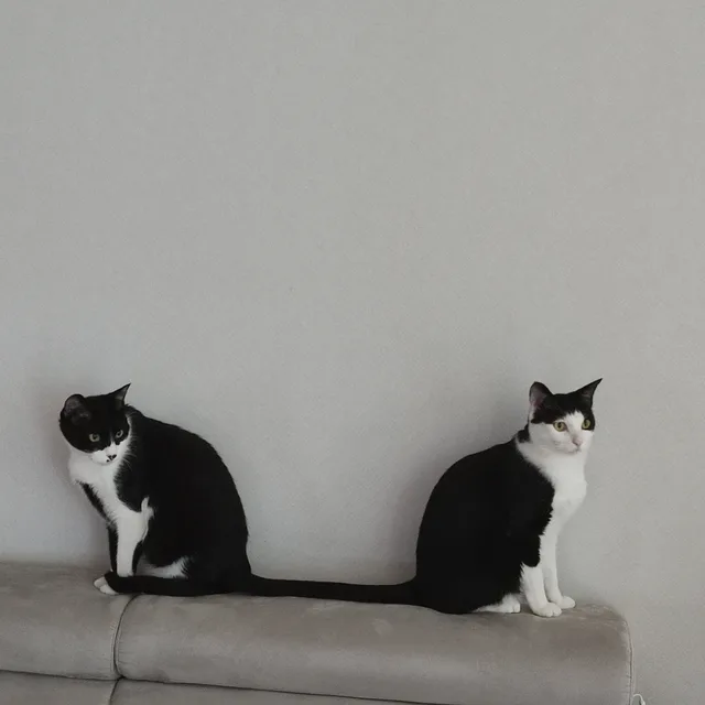 쌤해피