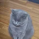태봉