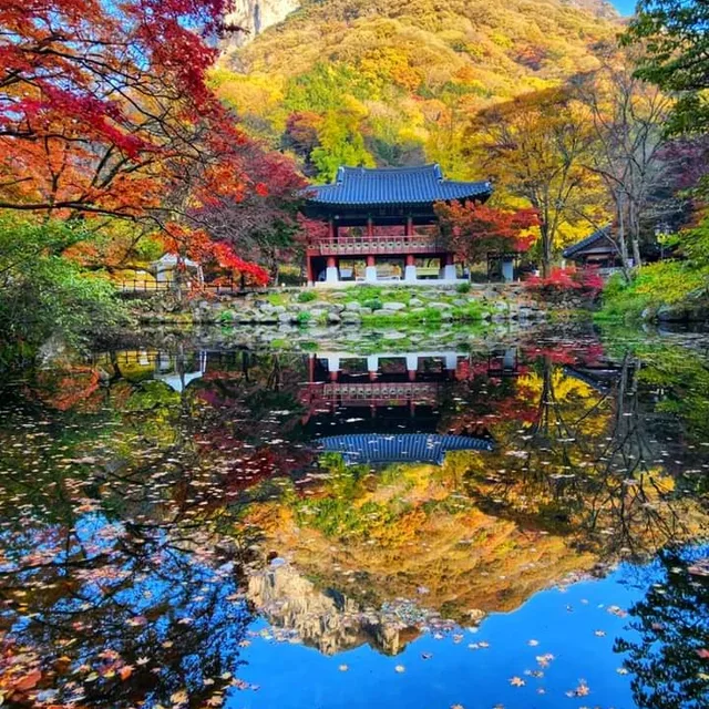 옥수수