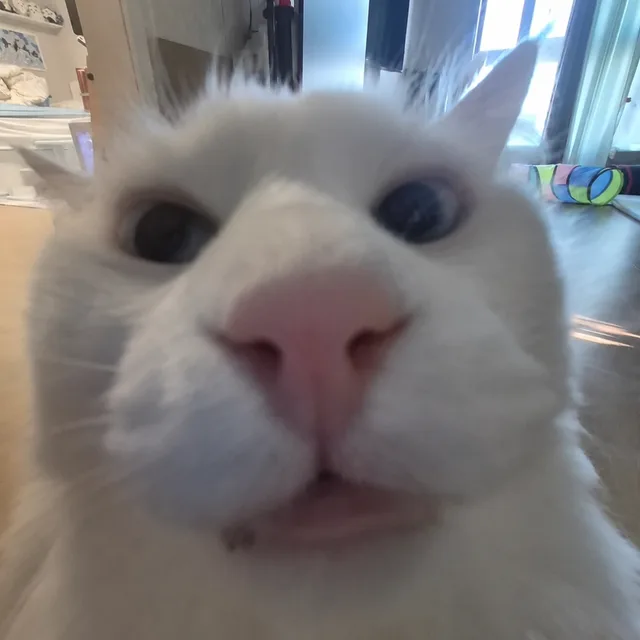 융스