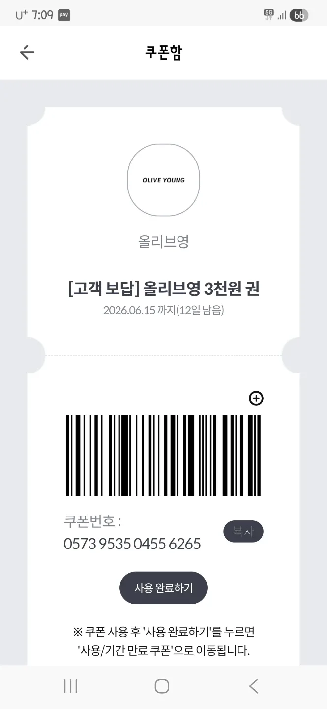 팬더마우스귀요미