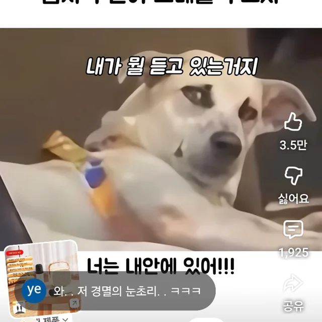운전좋아