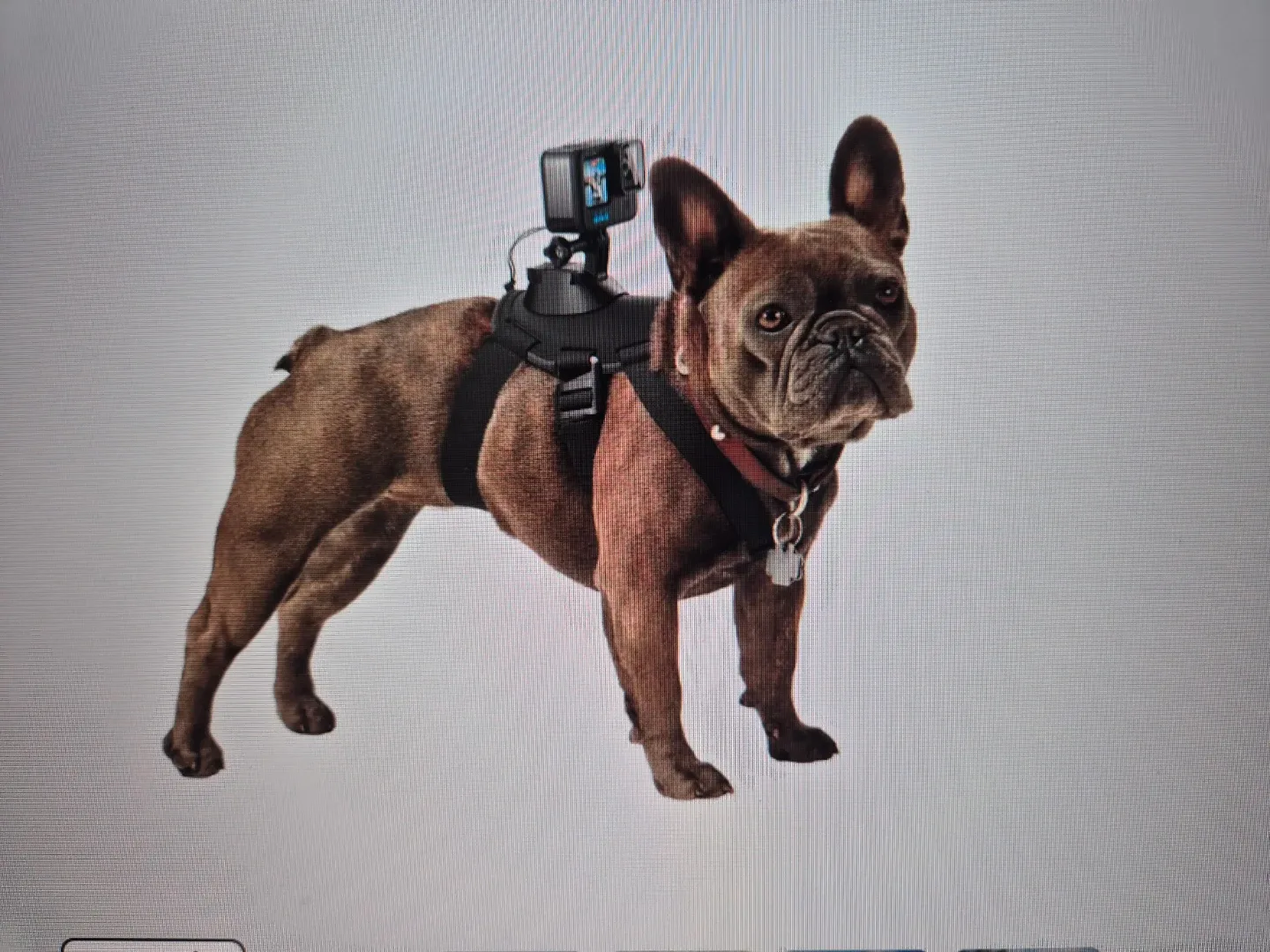 씨쿡맨