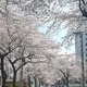 달볕